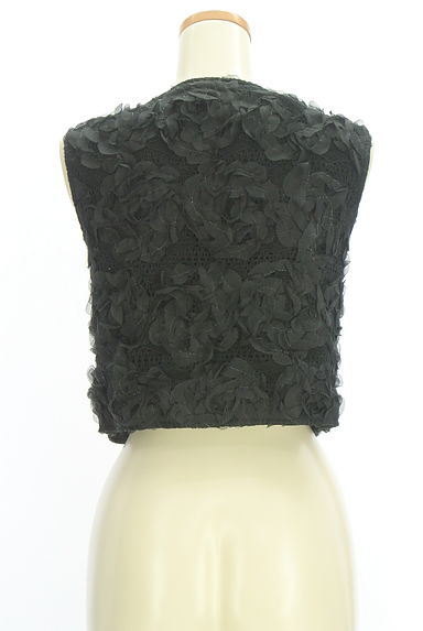 クリックで大画像表示 WILLSELECTION(ウィルセレクション)の古着「花モチーフレースベスト(ベスト・ジレ)」大画像2へ