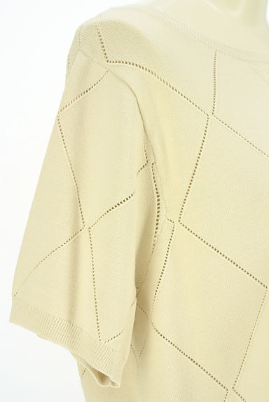 PROPORTION BODY DRESSING（プロポーションボディドレッシング）の古着「透かし編みひし形半そでニットトップス（ニット）」大画像５へ