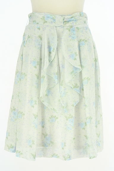 KarL Park Lane（カールパークレーン）スカート買取実績の前画像