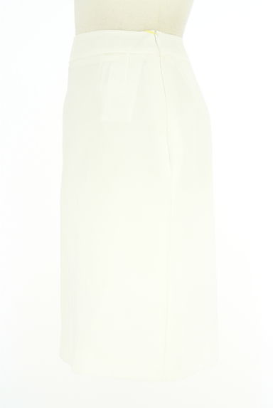 クリックで大画像表示 KarL Park Lane(カールパークレーン)の古着「膝丈メッシュフレアスカート(スカート)」大画像3へ