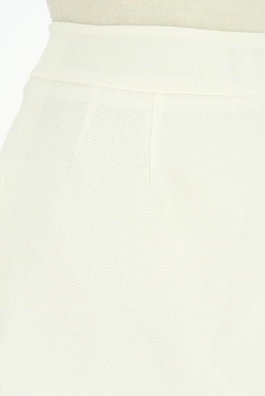 クリックで大画像表示 KarL Park Lane(カールパークレーン)の古着「膝丈メッシュフレアスカート(スカート)」大画像4へ