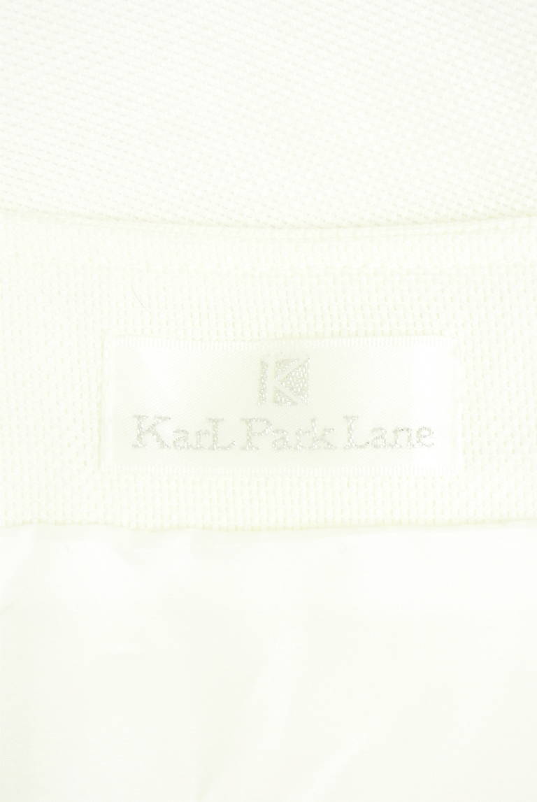 KarL Park Lane（カールパークレーン）の古着「商品番号：PR10340052」-大画像6