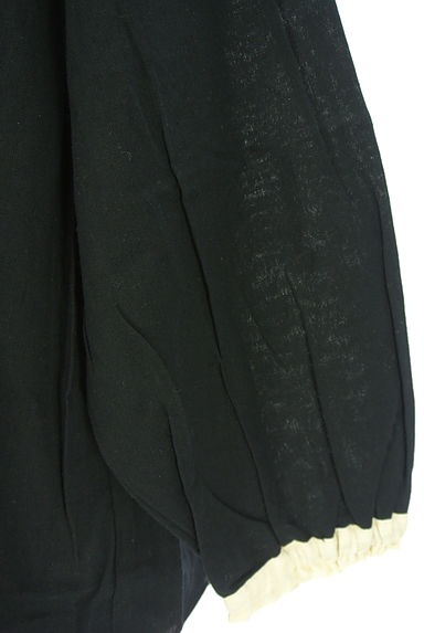 Samansa Mos2（サマンサモスモス）の古着「前後着配色ブラウス（ブラウス）」大画像５へ