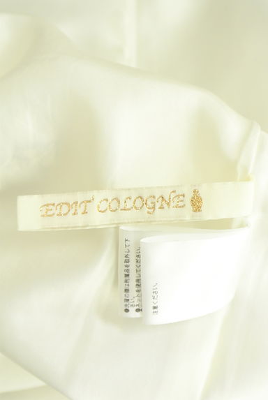 クリックで大画像表示 PROPORTION BODY DRESSING(プロポーションボディドレッシング)の古着「EDIT COLOGNE ボタニカル柄ノースリワンピース(ワンピース・チュニック)」大画像6へ