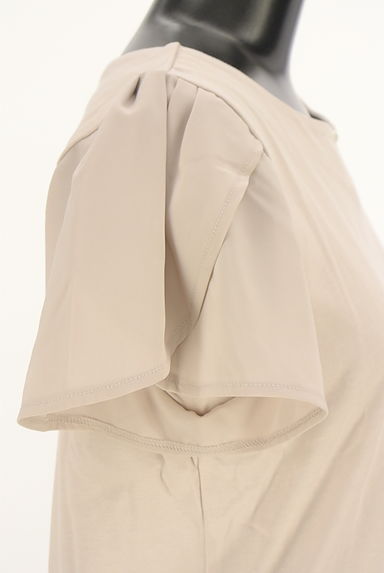 クリックで大画像表示 PROPORTION BODY DRESSING(プロポーションボディドレッシング)の古着「袖シフォンカットソー(カットソー・プルオーバー)」大画像5へ