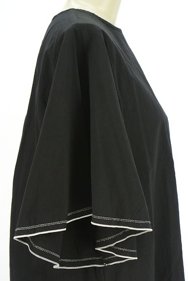 BEARDSLEY（ビアズリー）の古着「フレアスリーブカットソー（カットソー・プルオーバー）」大画像４へ