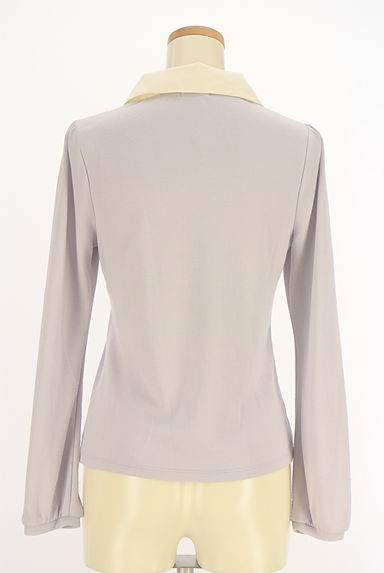 axes femme（アクシーズファム）の古着「ラメ刺繍襟カットソー（カットソー・プルオーバー）」大画像２へ