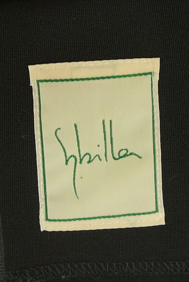 Sybilla（シビラ）の古着「膝丈フレアワンピース（ワンピース・チュニック）」大画像６へ