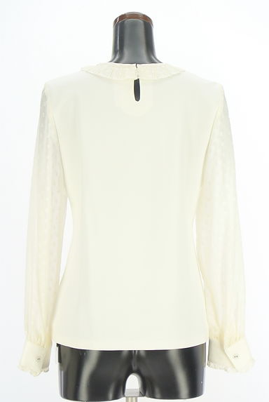 JILLSTUART（ジルスチュアート）の古着「ドットドビー切替カットソー（カットソー・プルオーバー）」大画像２へ