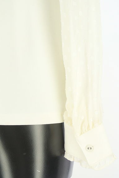 JILLSTUART（ジルスチュアート）の古着「ドットドビー切替カットソー（カットソー・プルオーバー）」大画像５へ