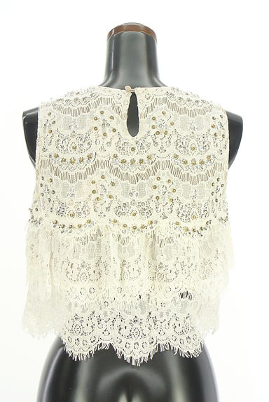 DEICY（デイシー）の古着「スパンコール付きレースブラウス（カットソー・プルオーバー）」大画像２へ