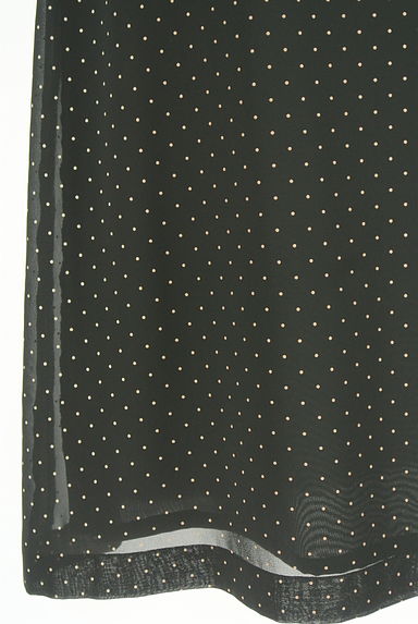 agnes b（アニエスベー）の古着「ミディ丈ピンドット柄シフォンスカート（スカート）」大画像５へ