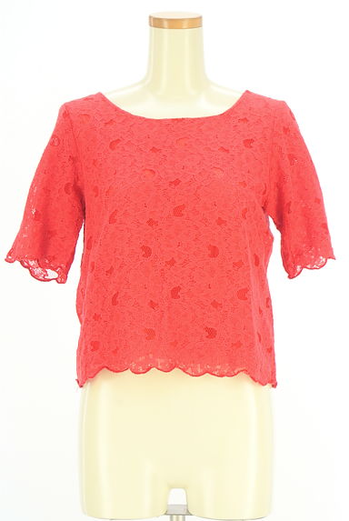 PLST（プラステ）の古着「半そで総レースカットソー（カットソー・プルオーバー）」大画像１へ