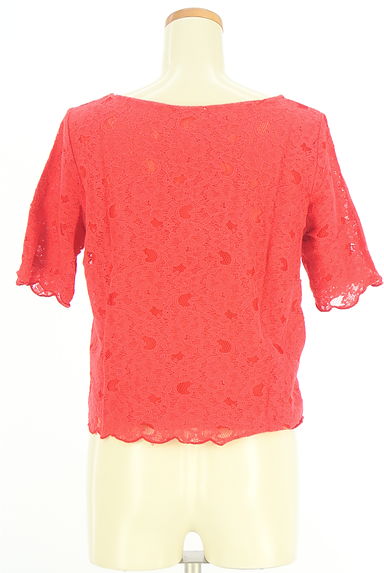 PLST（プラステ）の古着「半そで総レースカットソー（カットソー・プルオーバー）」大画像２へ