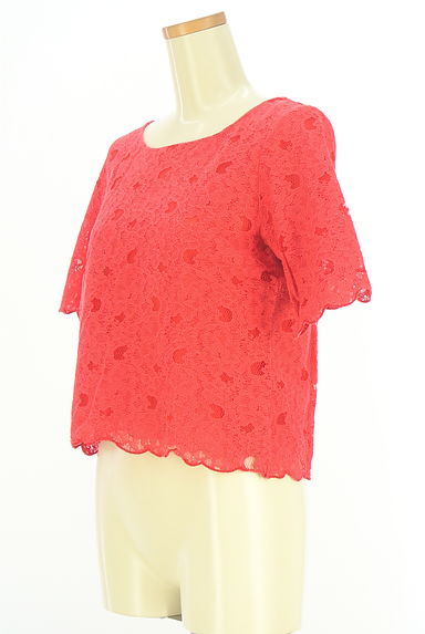 PLST（プラステ）の古着「半そで総レースカットソー（カットソー・プルオーバー）」大画像３へ