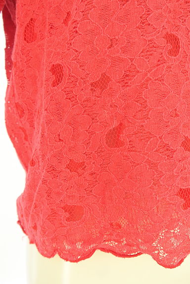 PLST（プラステ）の古着「半そで総レースカットソー（カットソー・プルオーバー）」大画像５へ