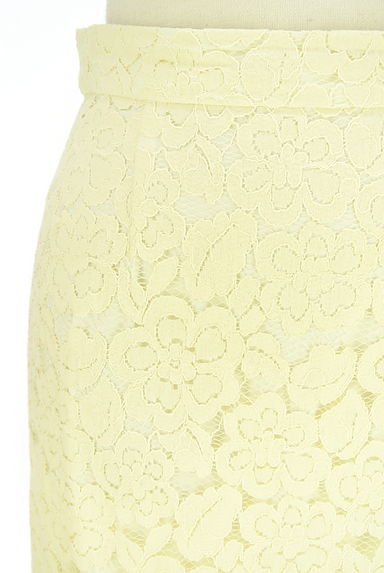 PROPORTION BODY DRESSING（プロポーションボディドレッシング）の古着「ミディ丈総レーススカート（スカート）」大画像４へ