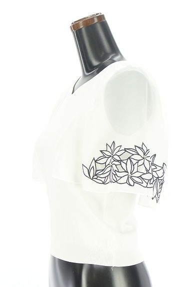 MISCH MASCH（ミッシュマッシュ）の古着「花柄刺しゅうシフォンスリーブニットトップス（ニット）」大画像３へ