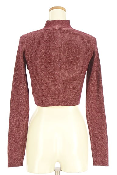 MURUA（ムルーア）の古着「ショート丈ラメ混ハイネックリブニットトップス（ニット）」大画像２へ