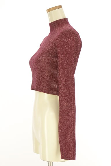 MURUA（ムルーア）の古着「ショート丈ラメ混ハイネックリブニットトップス（ニット）」大画像３へ