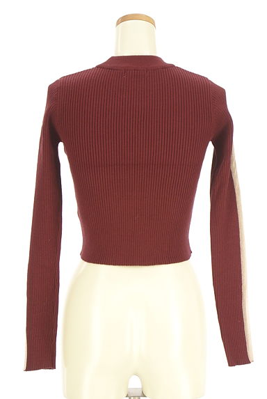 MURUA（ムルーア）の古着「ショート丈袖ラインリブニットトップス（ニット）」大画像２へ