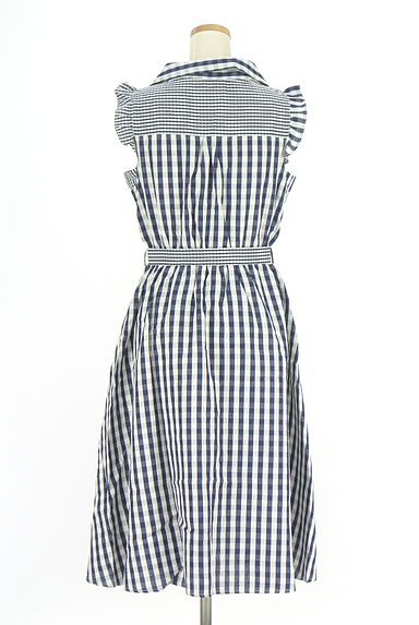 axes femme（アクシーズファム）の古着「ギンガムチェック柄膝下ワンピース（ワンピース・チュニック）」大画像２へ