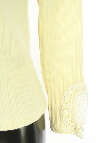 axes femme（アクシーズファム）の古着「レース切替ハイネックカットソー（カットソー・プルオーバー）」大画像５へ