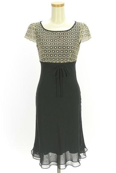 M'S GRACY（エムズグレイシー）の古着「花刺繍レース×シフォンドレスワンピ（ワンピース・チュニック）」大画像１へ