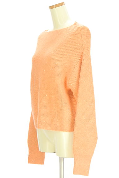 Apuweiser riche（アプワイザーリッシェ）の古着「スパンコールラメニット（セーター）」大画像３へ