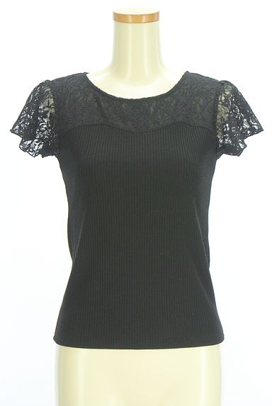 PROPORTION BODY DRESSING（プロポーションボディドレッシング）の古着「レース切替リブニット（カットソー・プルオーバー）」大画像１へ