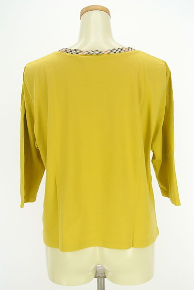 DAKS（ダックス）の古着「チェックネック七分袖カットソー（カットソー・プルオーバー）」大画像２へ