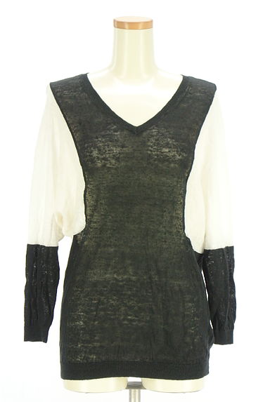 PLST（プラステ）の古着「バイカラーサマーニット（ニット）」大画像１へ