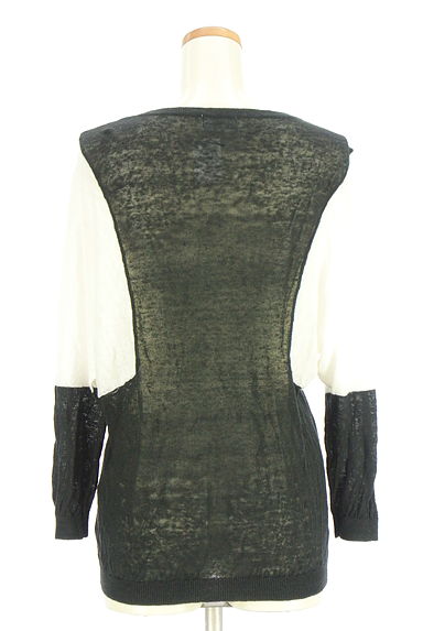 PLST（プラステ）の古着「バイカラーサマーニット（ニット）」大画像２へ