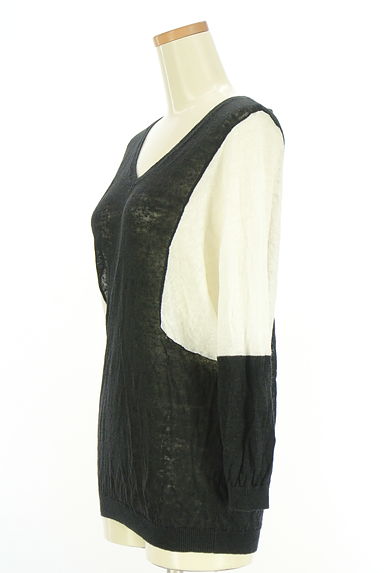 PLST（プラステ）の古着「バイカラーサマーニット（ニット）」大画像３へ