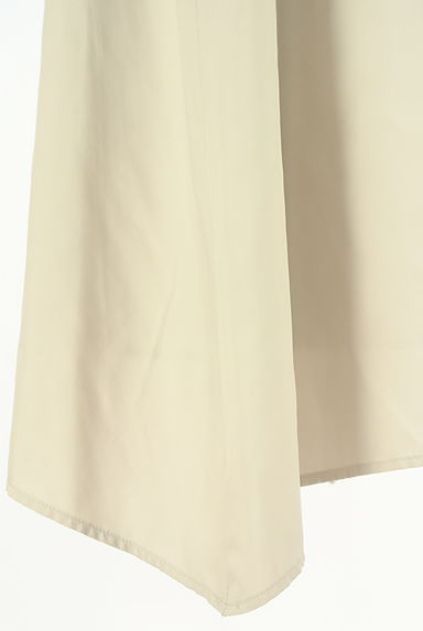 PLST（プラステ）の古着「ミディ丈フレアスカート（スカート）」大画像５へ