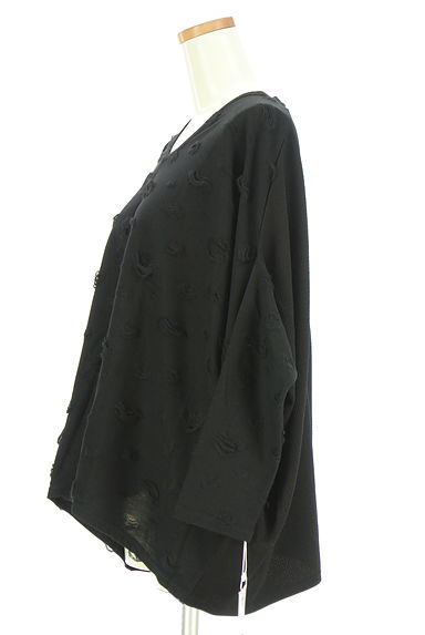 antiqua（アンティカ）の古着「フロントドットワイドカットソー（カットソー・プルオーバー）」大画像３へ