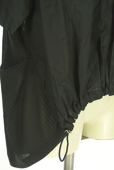 ayane（アヤン）の古着「ストライプ織シフォン切替半そでブルゾン（ブルゾン・スタジャン）」大画像５へ