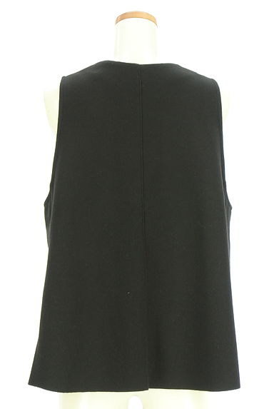 ayane（アヤン）の古着「ウールライクVネックベスト（ベスト・ジレ）」大画像２へ