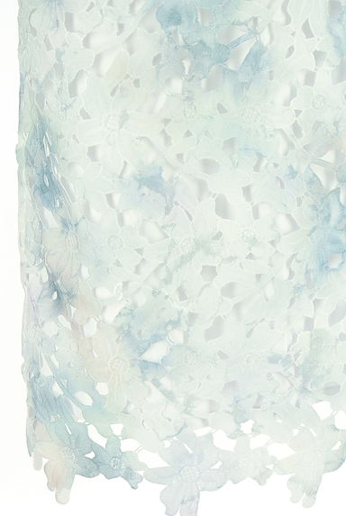 JUSGLITTY（ジャスグリッティー）の古着「膝下丈レースタイトスカート（スカート）」大画像５へ