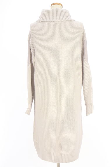 PROPORTION BODY DRESSING（プロポーションボディドレッシング）の古着「パール付きタートルネックニットワンピース（ワンピース・チュニック）」大画像２へ