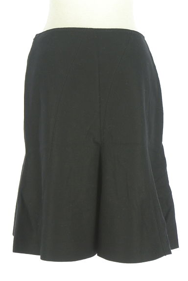 Reflect（リフレクト）の古着「膝丈起毛フレアスカート（スカート）」大画像２へ