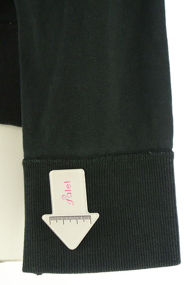 LACOSTE（ラコステ）の古着「ダブルジップスウェットパーカー（スウェット・パーカー）」大画像５へ