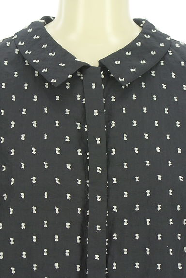 クリックで大画像表示 TOCCA(トッカ)の古着「ドビードットナイロンブラウス(ブラウス)」大画像4へ