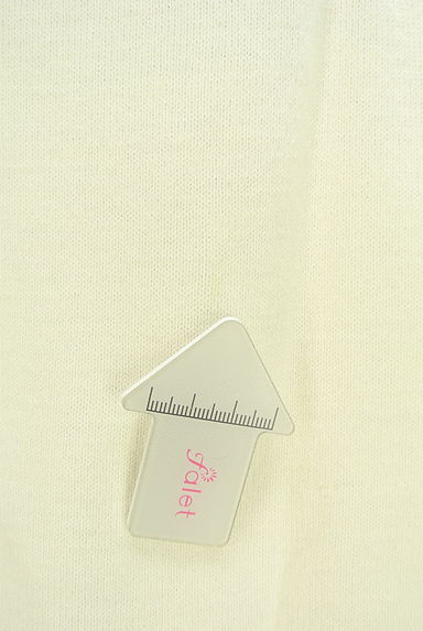 Te chichi（テチチ）の古着「Te chichi TERRASSE Vネック袖パールニット（ニット）」大画像５へ