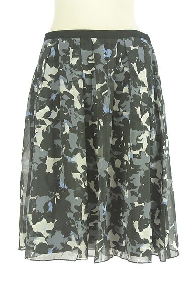 Reflect（リフレクト）の古着「膝丈シアーフレアスカート（スカート）」大画像１へ