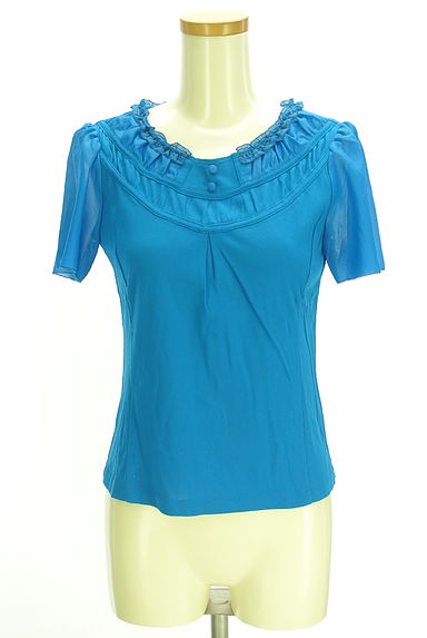 HIROKO BIS（ヒロコビス）の古着「シアー袖カットソー（カットソー・プルオーバー）」大画像１へ