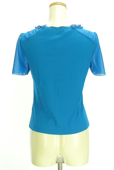 HIROKO BIS（ヒロコビス）の古着「シアー袖カットソー（カットソー・プルオーバー）」大画像２へ