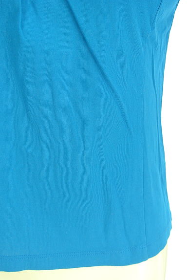 HIROKO BIS（ヒロコビス）の古着「シアー袖カットソー（カットソー・プルオーバー）」大画像５へ