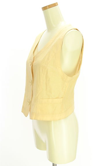 HIROKO KOSHINO（ヒロココシノ）の古着「メッシュベスト（ベスト・ジレ）」大画像３へ