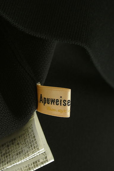 Apuweiser riche（アプワイザーリッシェ）アウター買取実績のブランドタグ画像